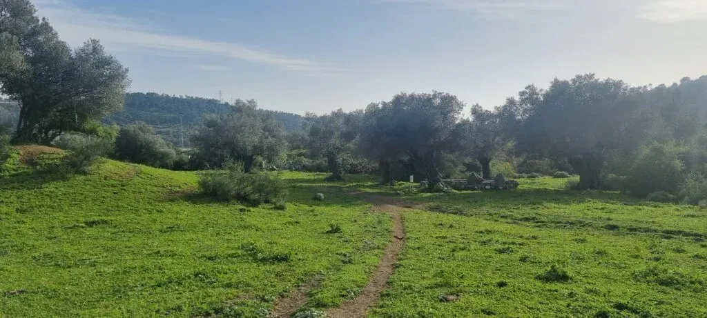 טיול לטוף מהר"ל- הר געש קדום ופריחה מרהיבה