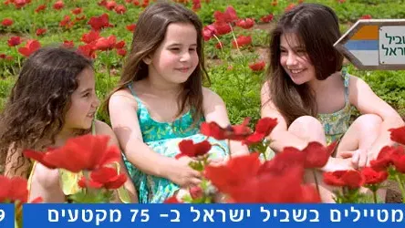 שביל ישראל קטע מספר 39 – מצומת מיתר ועד יער יתיר