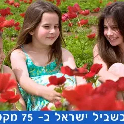 שביל ישראל קטע מספר 39 – מצומת מיתר ועד יער יתיר