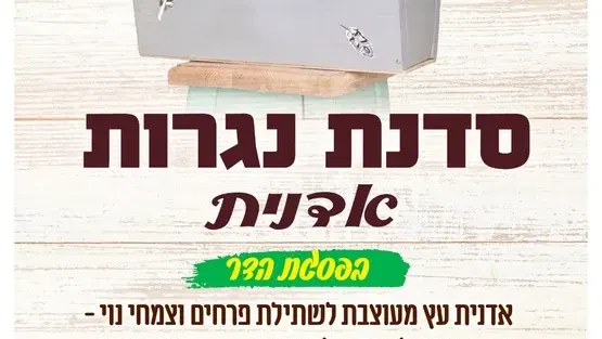סדנת נגרות למבוגרים במרכז קהילתי פסגת הדר