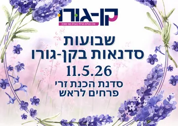 סדנת עיצוב זרי פרחים לראש