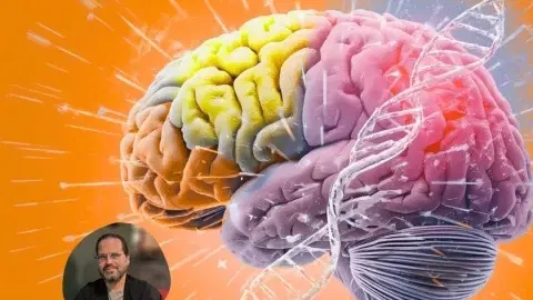 בלתזר תירוש - "המוח: המדע שקובע מי אנחנו"- סידרה של 4 הרצאות