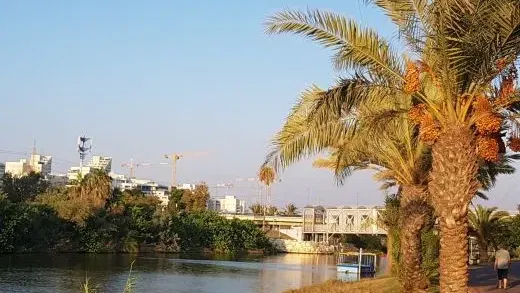 "בכל זאת יש בה משהו" - בעקבות פרשיות עלומות בצפון הישן של תל אביב
