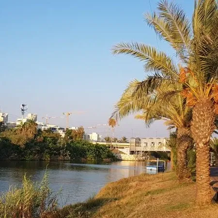 "בכל זאת יש בה משהו" - בעקבות פרשיות עלומות בצפון הישן של תל אביב