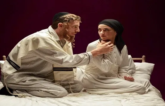 פינק ליידי- תיאטרון באר שבע