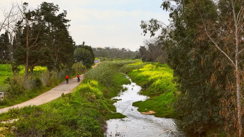 קטנטנים בנחל פולג: בעקבות הצבים הרכים וסודות הנחל