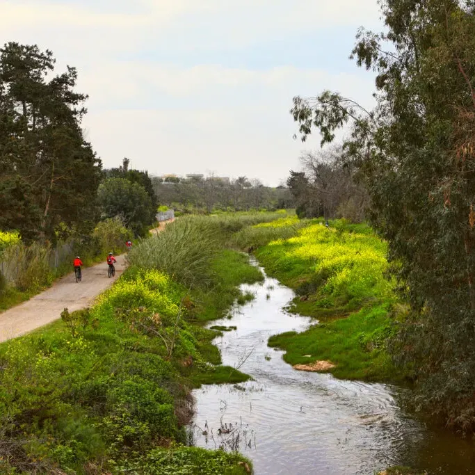קטנטנים בנחל פולג: בעקבות הצבים הרכים וסודות הנחל