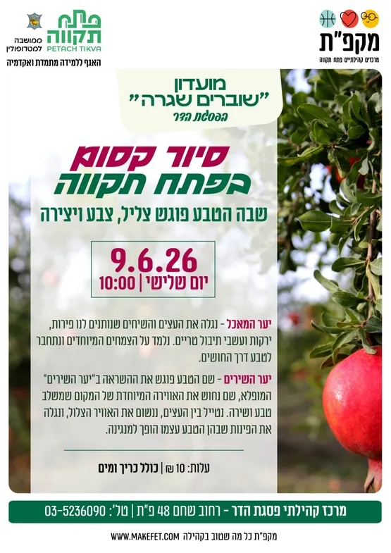 סיור קסום בפת תקוה - הטבע פוגש צליל, צבע ויצירה במרכז קהילתי פסגת הדר