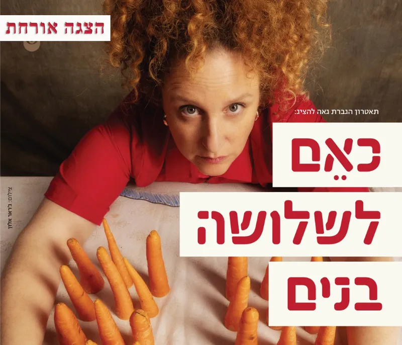 כאם לשלושה בנים (12+) @ סטודיו דוואי | הצגה אורחת
