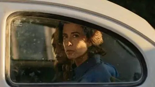 סינמה מטרופוליס: הדימוי של האכזר