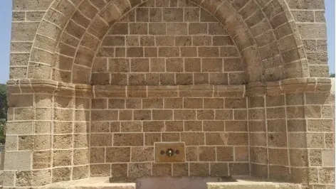 מסיבת ריקודים של סוף הקיץ בחורשה