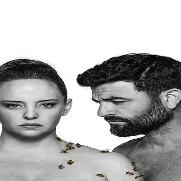מידאה- תיאטרון הקאמרי