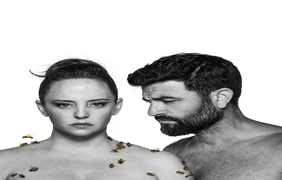 מידאה- תיאטרון הקאמרי