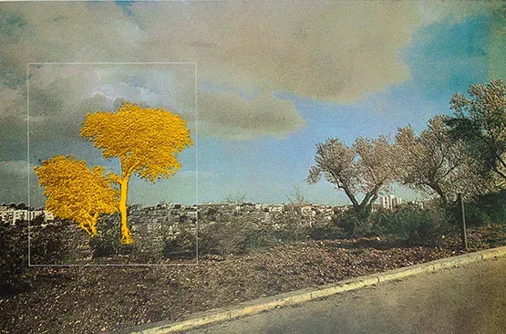 שיח גלריה | מנשה קדישמן: יער/עיר עם האוצר אמיתי מנדלסון