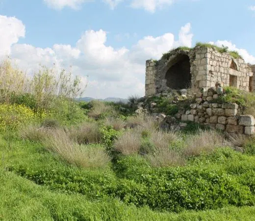 פרשיות נעלמות בעקבות כט בנובמבר שבת 29 בנובמבר