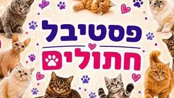 פסטיבל חתולים לכל המשפחה - תערוכת חתולים מגזעים שונים, גורי חתולים, אזור אינטראקציה ומופע בועות סבון