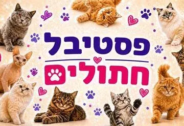 פסטיבל חתולים לכל המשפחה - תערוכת חתולים מגזעים שונים, גורי חתולים, אזור אינטראקציה ומופע בועות סבון