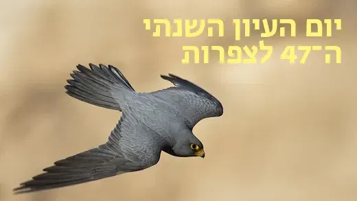 יום העיון השנתי ה-47 לצפרות