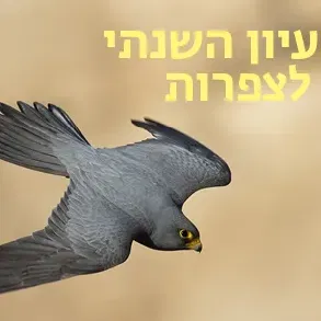 יום העיון השנתי ה-47 לצפרות