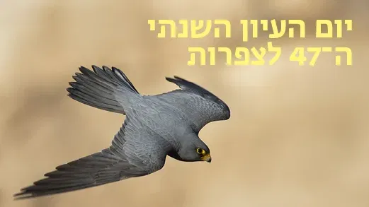 יום העיון השנתי ה-47 לצפרות