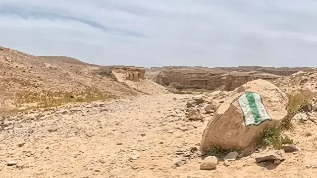 טעימה ממדבר יהודה