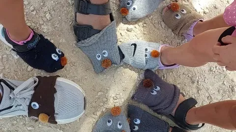 שבוע החקלאות- מה הקשר בין הגרביים שלנו לזרעים שביער?
