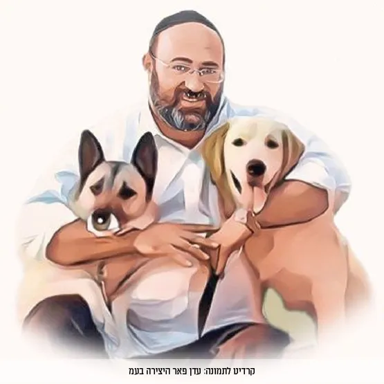 כלבים וחברים