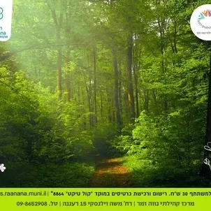 טיול משפחות בשבת