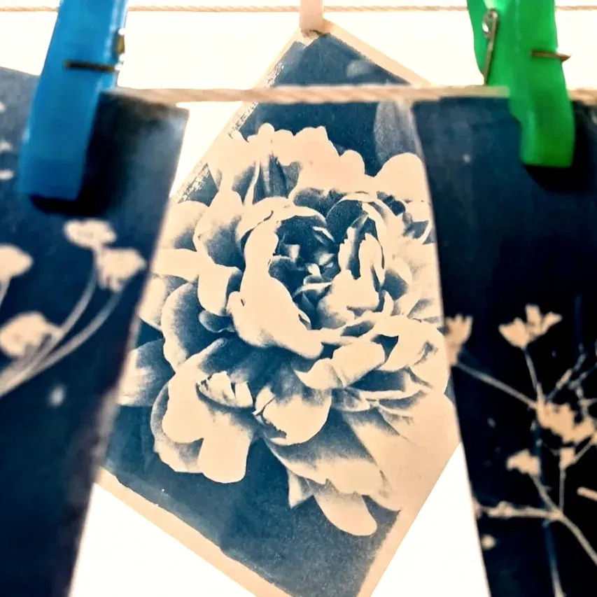 סדנת הדפסי שמש (Cyanotype)