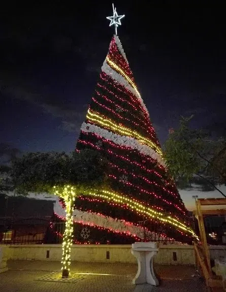 שבת 19/12: טיול קל הליכה: פסוטה ומעיליא מקושטות חג