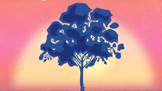 מכאן 🌳 | ערב של חיבור, יצירה וזיכרון