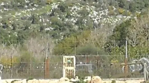 גבול לבנון- מערבי