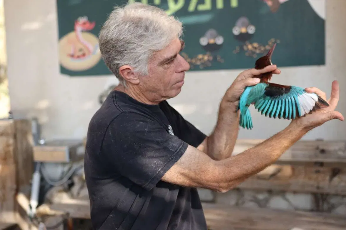 שמורת טבע עיינות צוקים - לעוף עם ציפורים