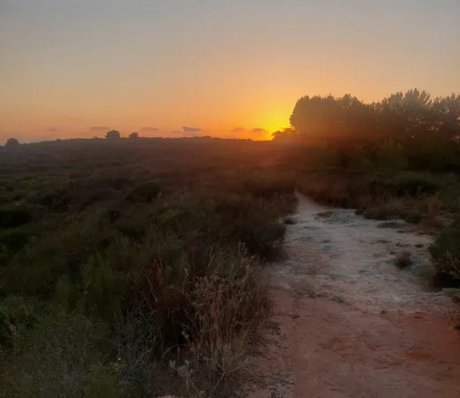 סיור עששיות נס ציונה