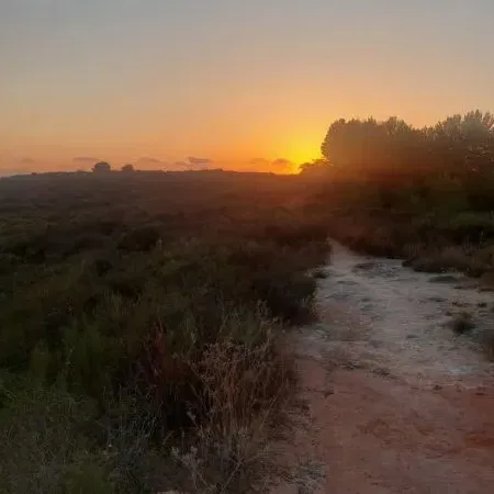 סיור עששיות נס ציונה
