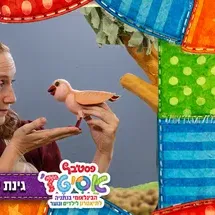 גינת ירק