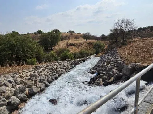 לזרום הפוך: סיור בנחל צלמון לעין רביד ולגינוסר