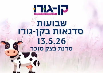 סדנת מבצק סוכר ייחודית