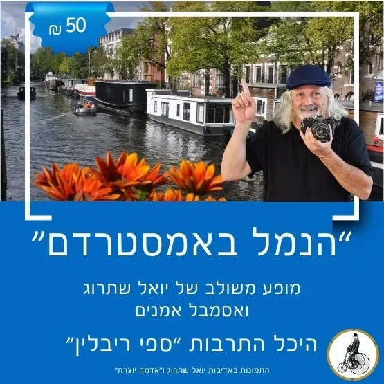 "הנמל באמסטרדם" עם יואל שתרוג