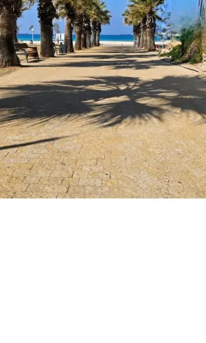 פארק פיראטים שביל ב(דרומי)