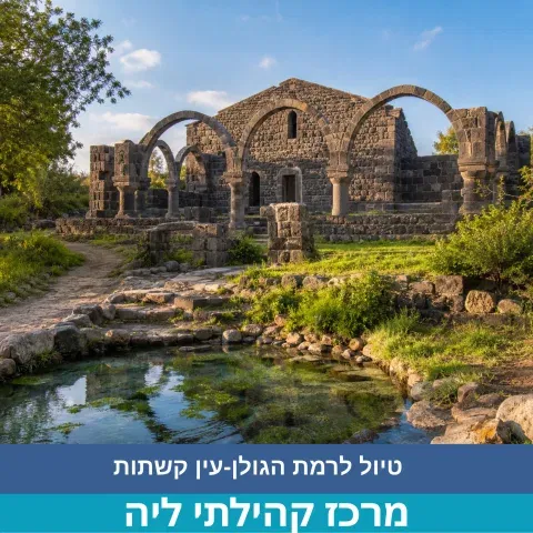 טיול לרמת הגולן - עין קשתות