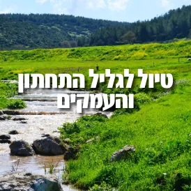 טיול לגליל התחתון והעמקים