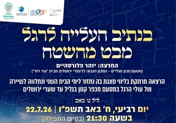 בנתיב העלייה לרגל מבט מהשטח
