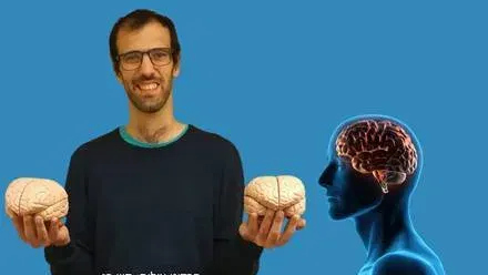 מדעי המוח - ד''ר יואב מה-טוב