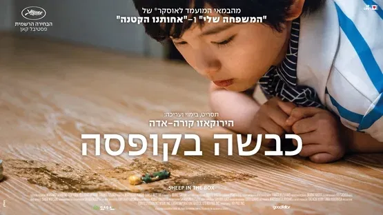 סרט: "כבשה בקופסה"