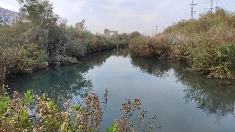 נחל סעדיה – פלא טבע חיפאי בלב איזור התעשייה
