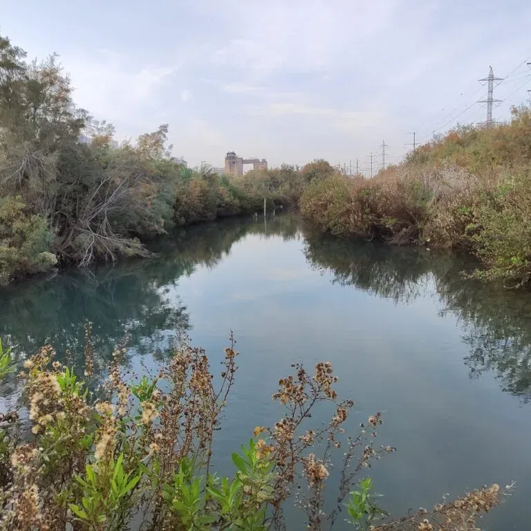נחל סעדיה – פלא טבע חיפאי בלב איזור התעשייה
