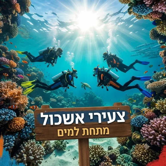 צעירים צוללים !! 18-35