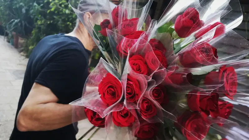 שוק הפשפשים ויפו העתיקה