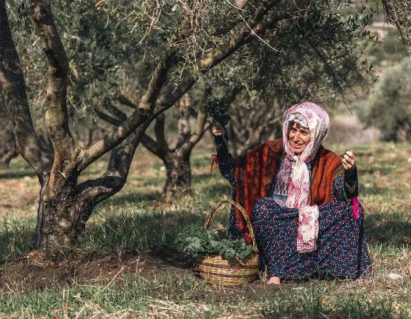 יוליארט – “הסבתות הגליליות” בסיור תיאטרלי מלא הומור בחוות רום